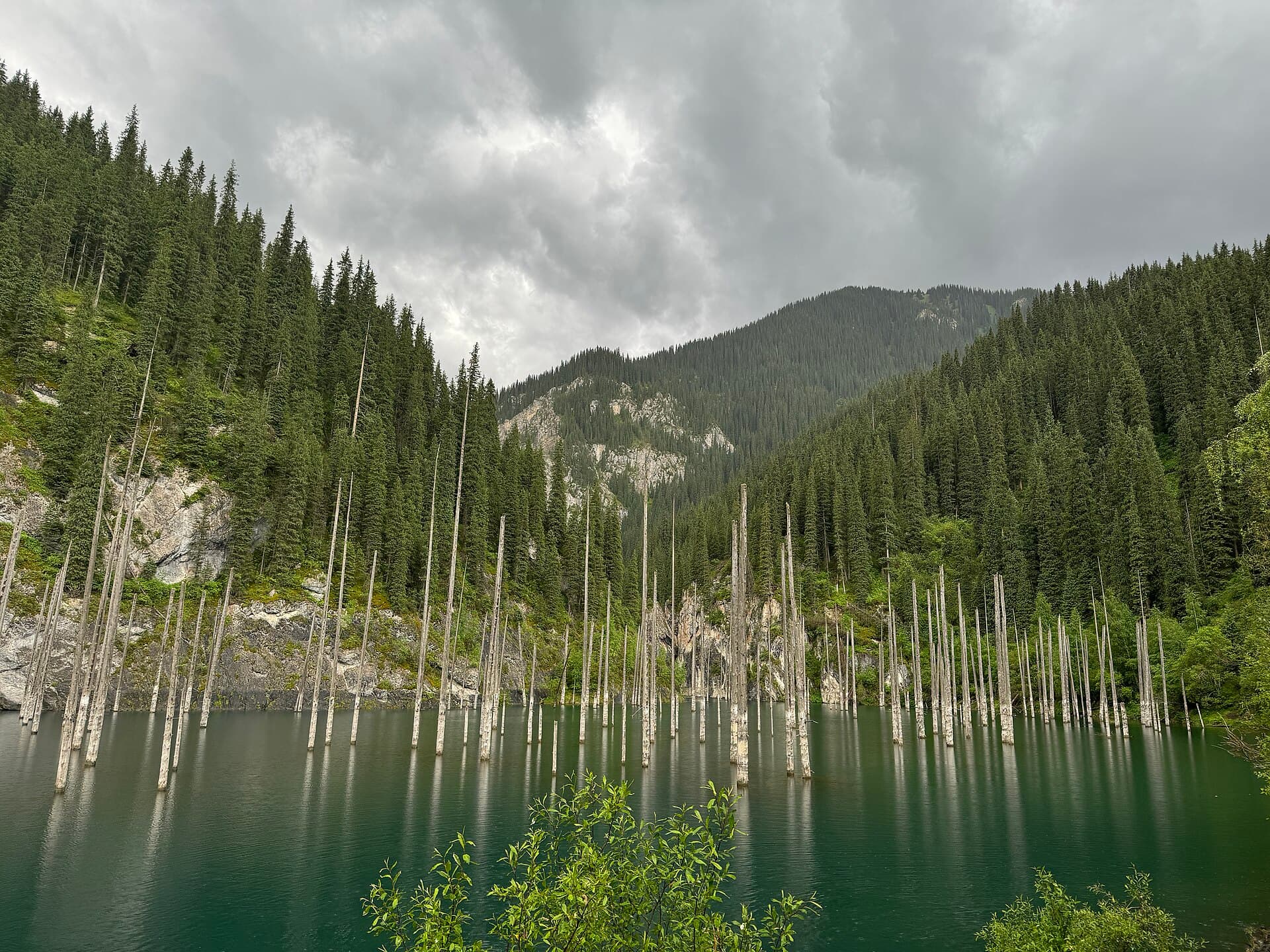 Pale tree trunks rising from emerald water at Lake Kaindy surrounded by spruce forest